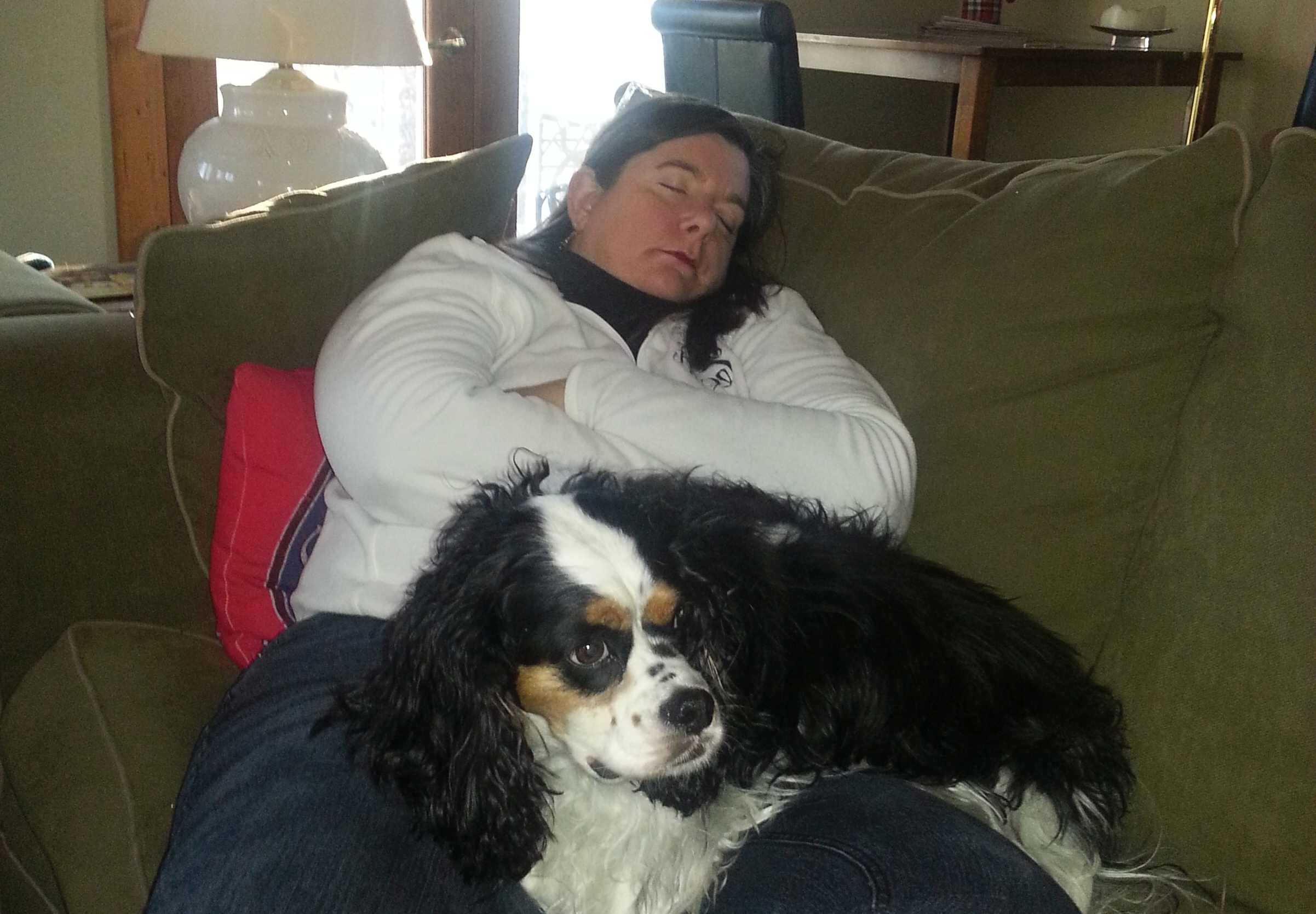 2018-01-06 Sleeping B and Gussie.jpg